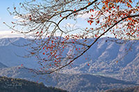 Smokies_Color_20231101_029_edit_VERO